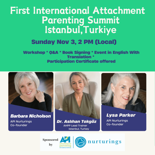 Flyer for the summit in Istanbul, Turkey